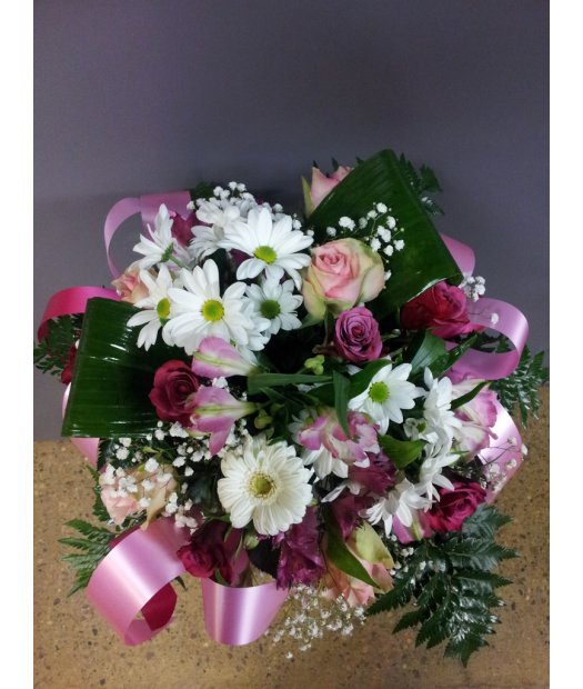 gerbera
